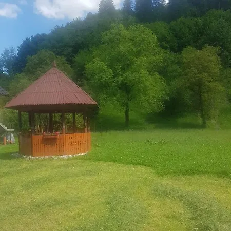 Plaiului